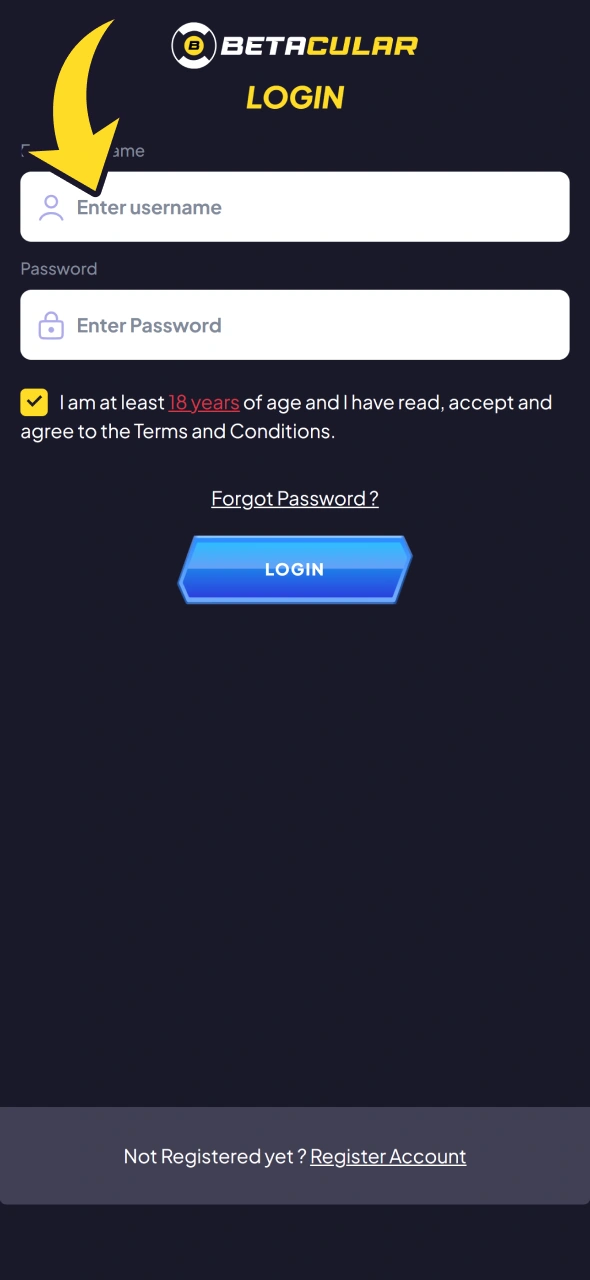 Write your login and password to log into your Betacular account in the app.