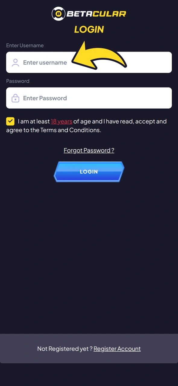 Enter your account details in Betacular login form.